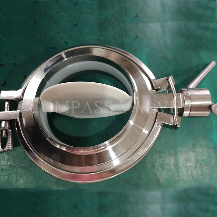 Butterfly Valve3